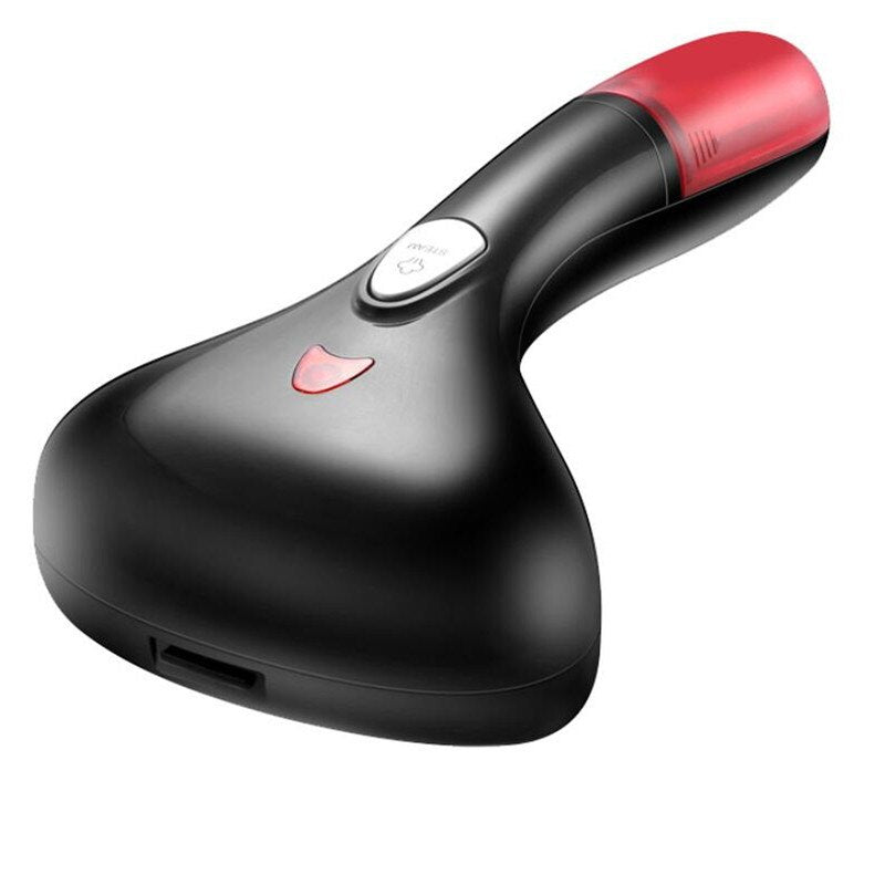 Fer à vapeur Portable