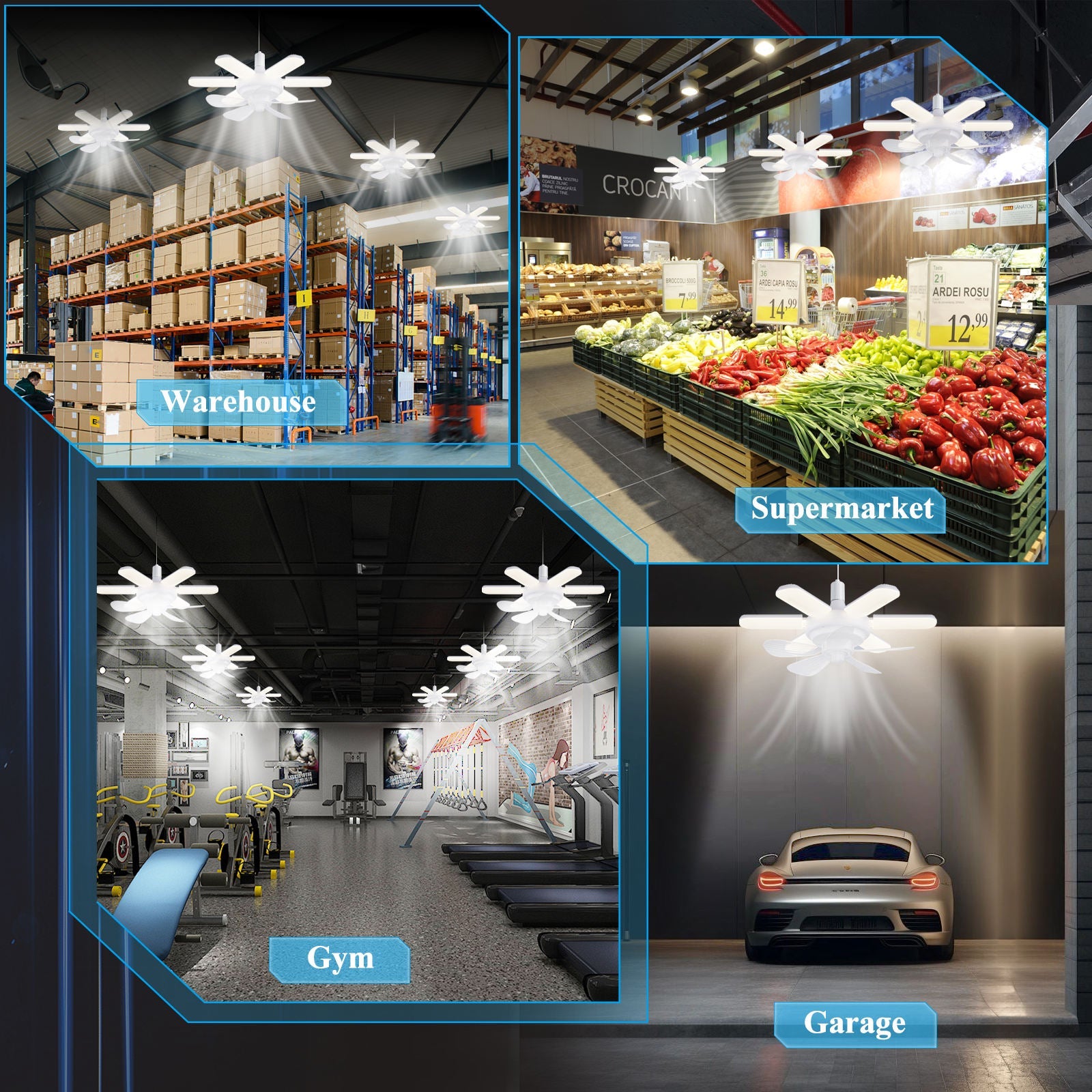 Ventilateur de plafond et une ampoule LED