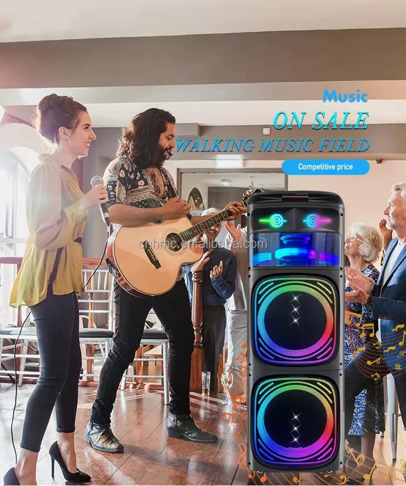 DG-W1002 - Caisson de Basses Extérieur