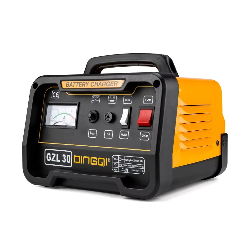 DINGQI - Chargeur de Batterie Professionnel