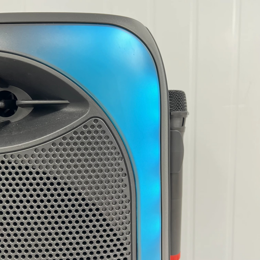 Enceinte Trolley 12 Pouces avec 2 Microphones