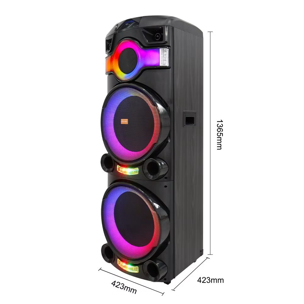 Haut-Parleurs Double Karaoké Haute Puissance