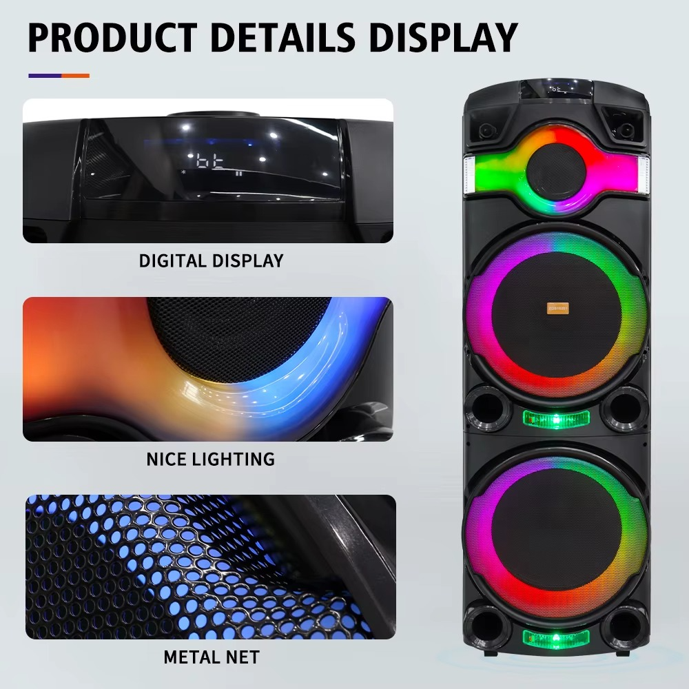 Haut-Parleurs Double Karaoké Haute Puissance