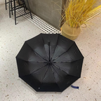 Parapluie Automatique