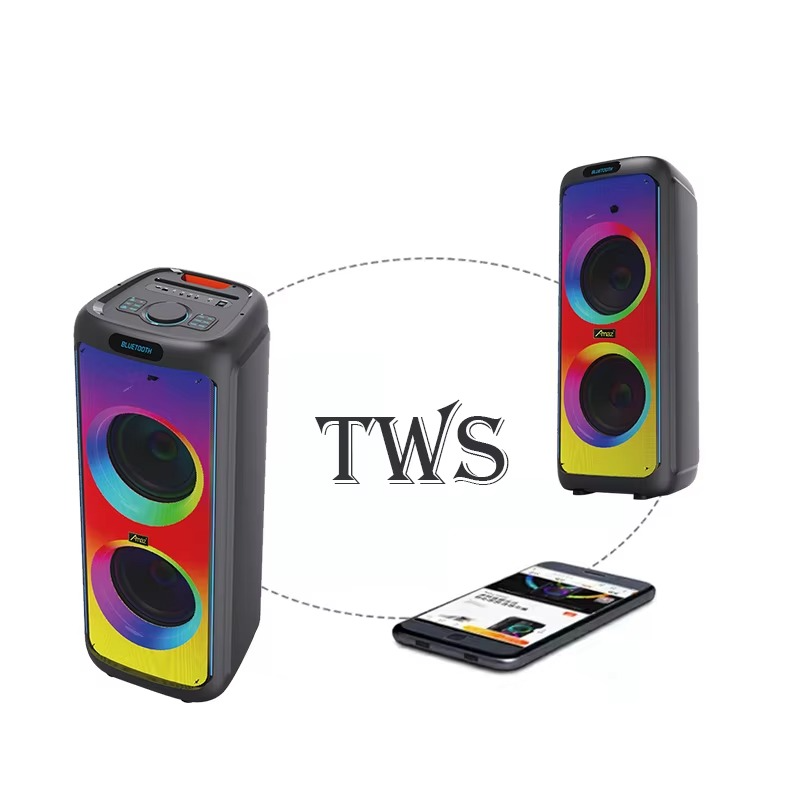 Enceintes de Karaoké à Roulettes