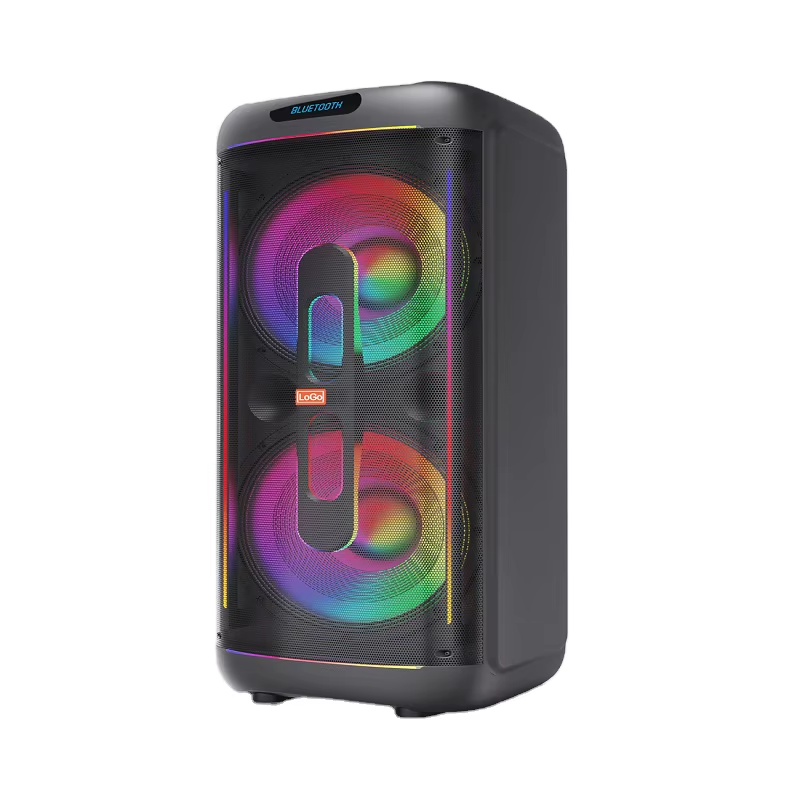 Enceinte de Scène Professionnelle d'Extérieur 1500W