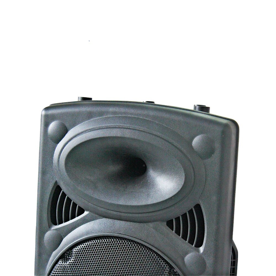 Enceinte chariot portable