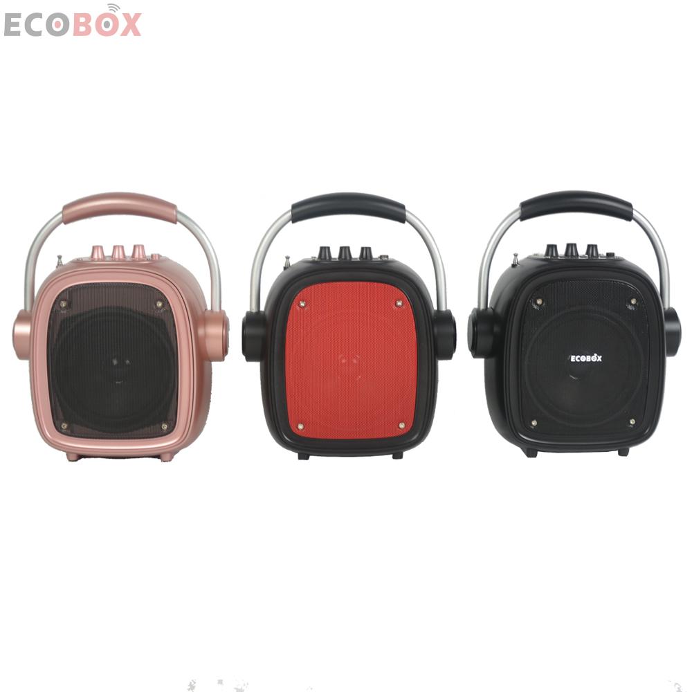 Mini haut-parleur portable