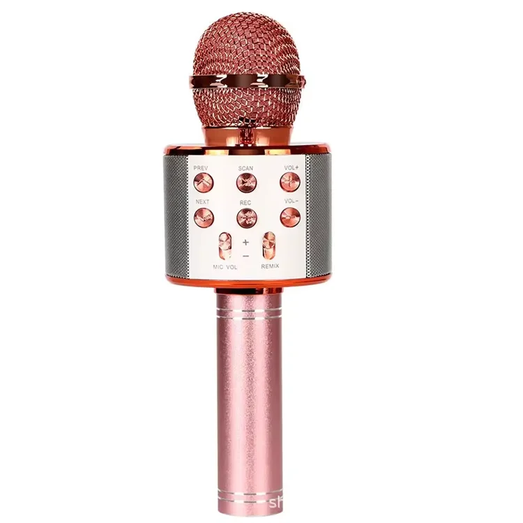 Microphone à main